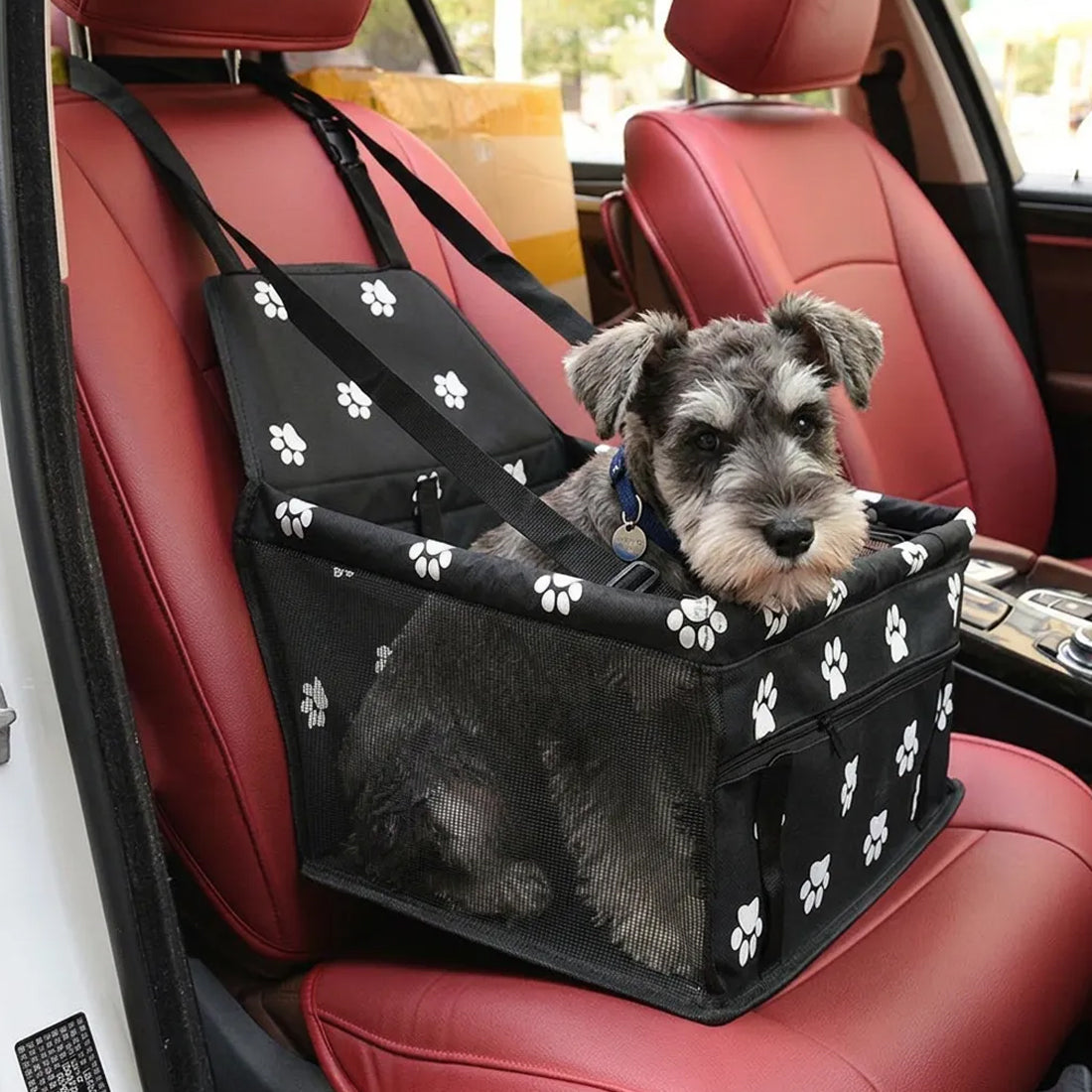 dog car seat