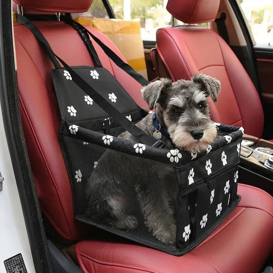 dog car seat