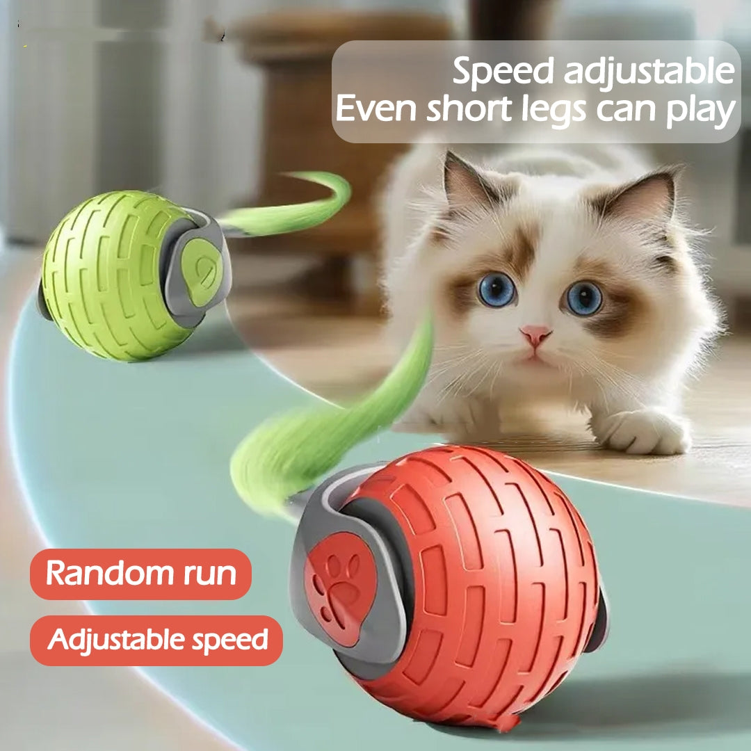 interactive cat toy ball