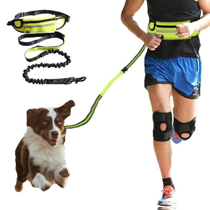hands free dog leash