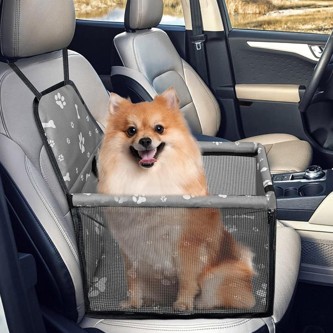 dog car seat