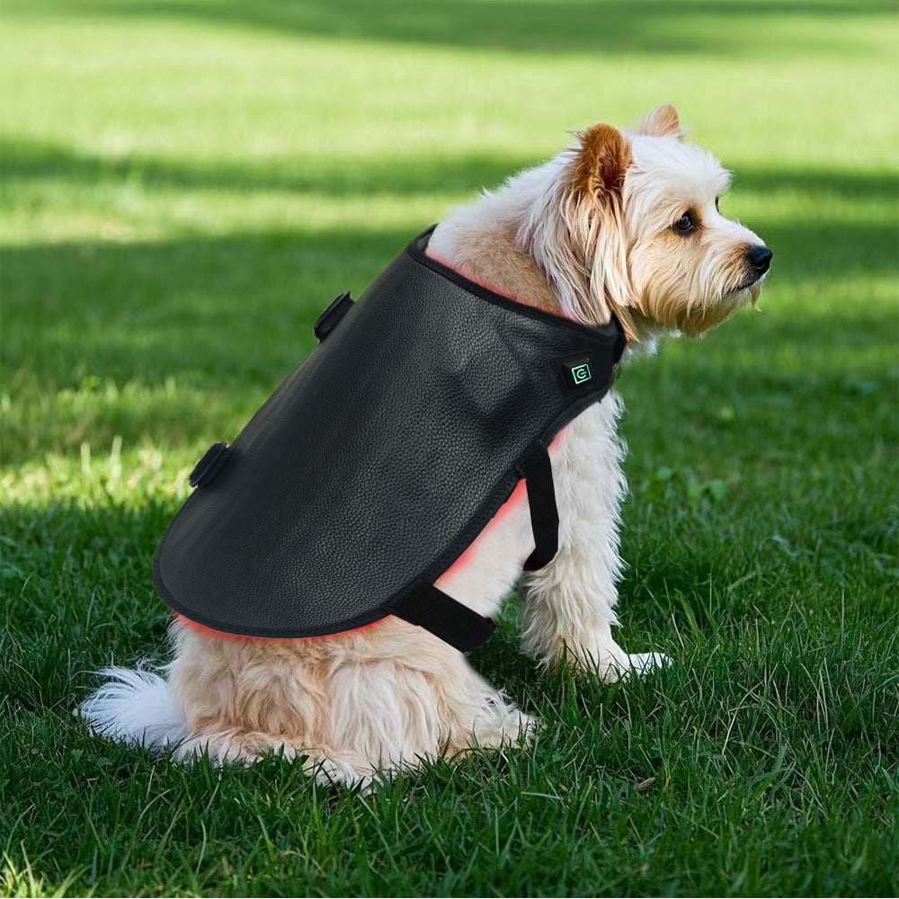 pet infrared therapy lamp