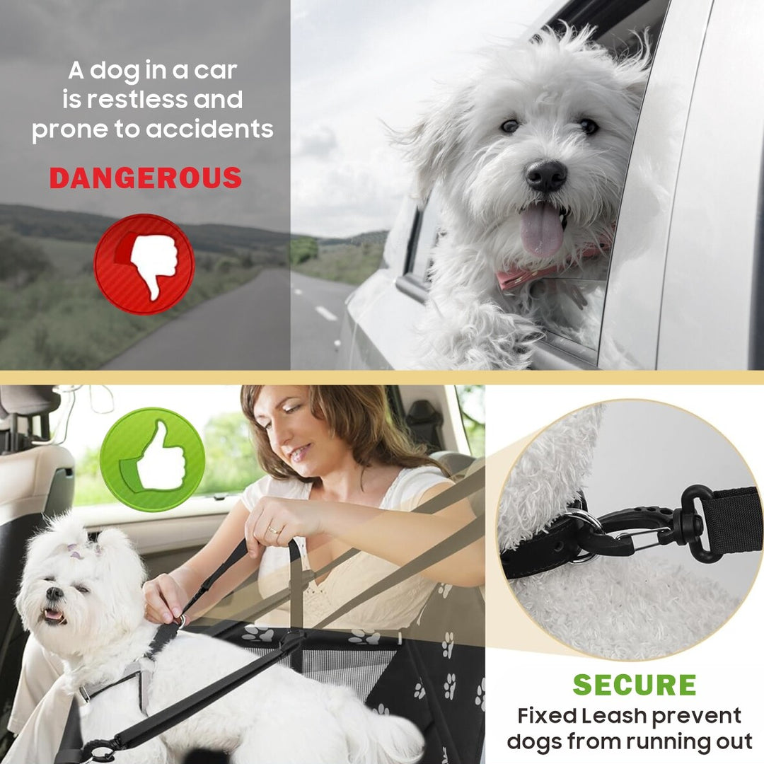 dog car seat