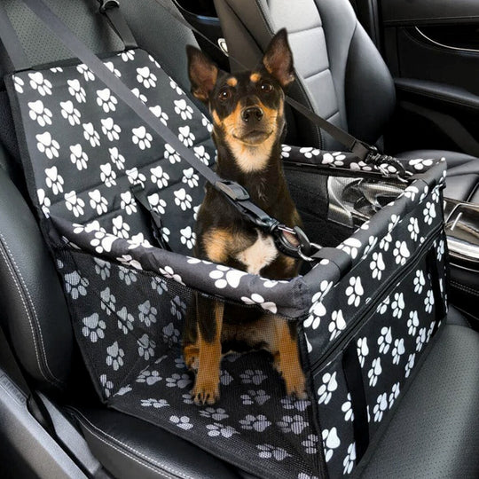 dog car seat