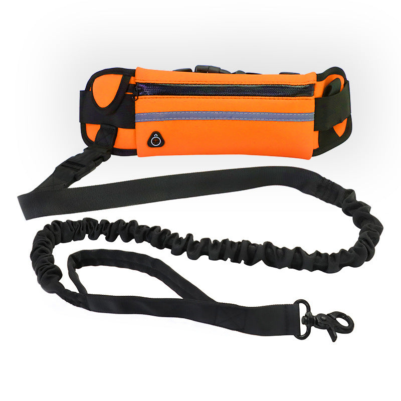 hands free dog leash
