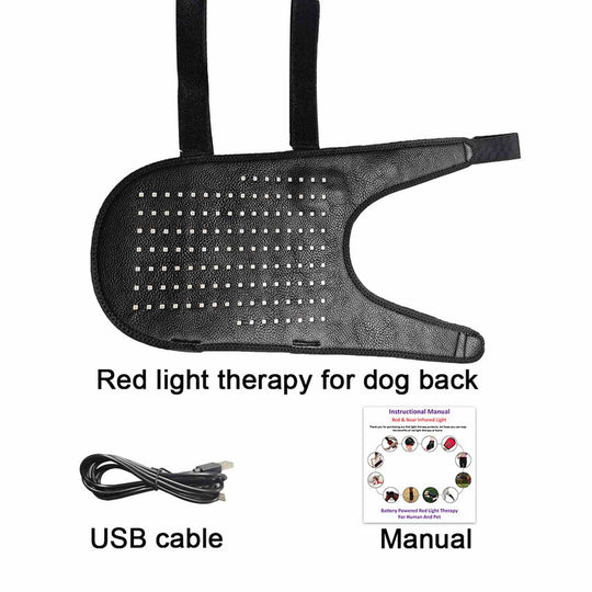 pet infrared therapy lamp