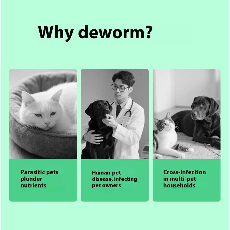 dog itching relief